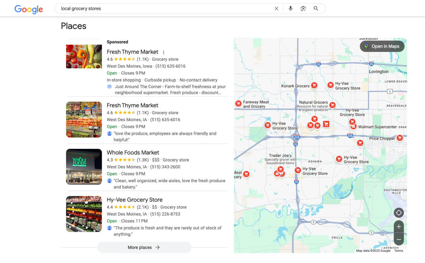 Places Panel Local Rich Result Local grocery store recommendations displayed in Google search results places panel.